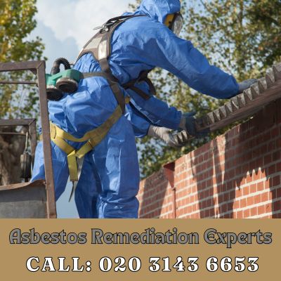 Asbestos Remediation Experts Nunhead