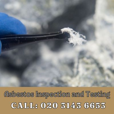 Comprehensive Asbestos Inspection and Testing Services in Nunhead